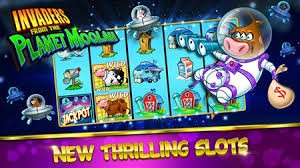 win 15 High Roller Live Casino Premium Table Games